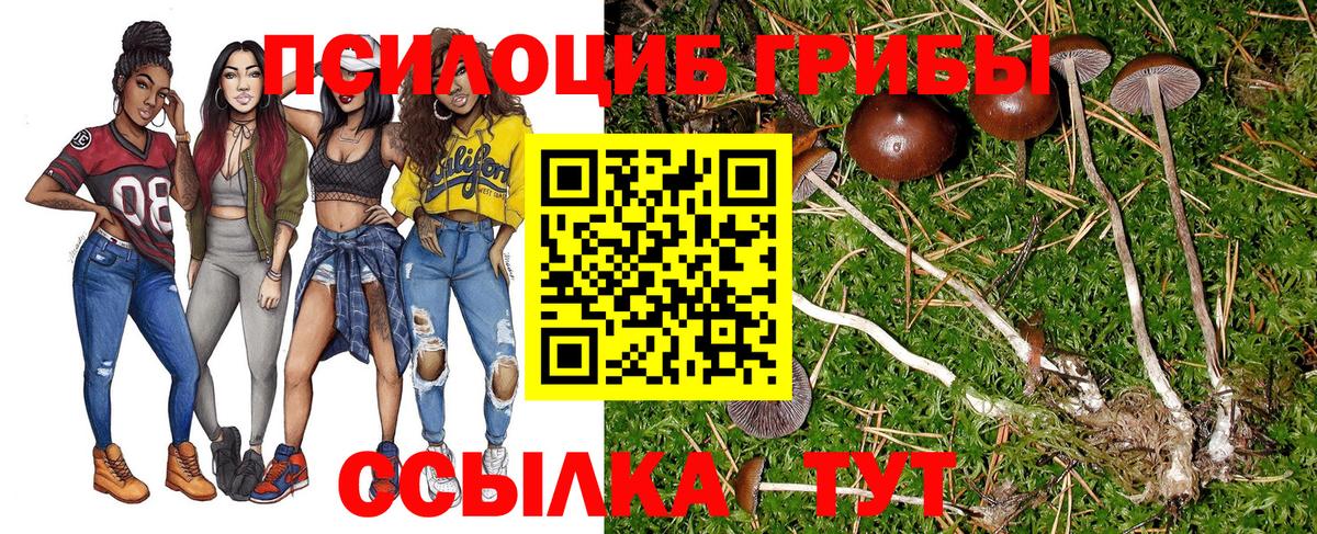 Псилоцибиновые грибы ЛСД Нижнеудинск