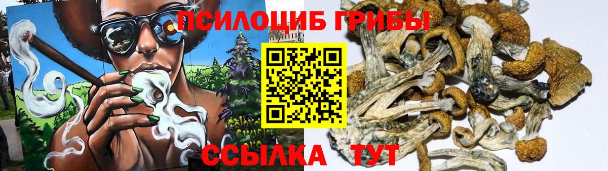 Нижнеудинск  хочу наркоту  Вход с VPN  Галлюциногенные грибы MAGIC MUSHROOMS 