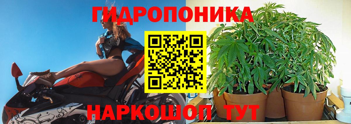 Конопля индика Нижнеудинск